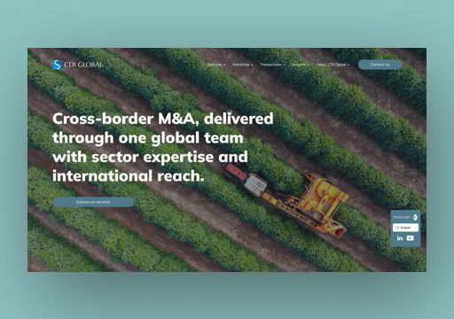 Sussex web design portfolio example for CDI Global international website